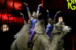 Illustration for article titled Ringling Bros. circus to close after 146 years